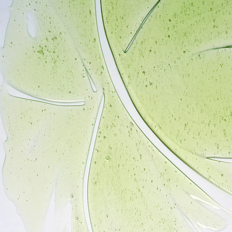 Herbalism Shampoo - Image 2