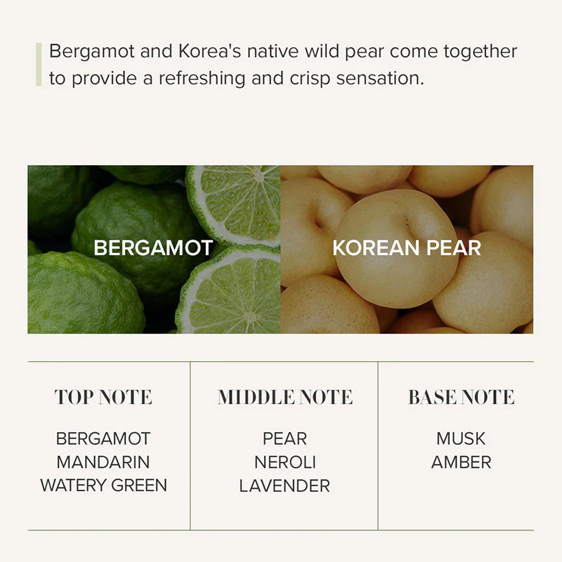 Seoul Edition Hand Cream Trio Set - Image 8