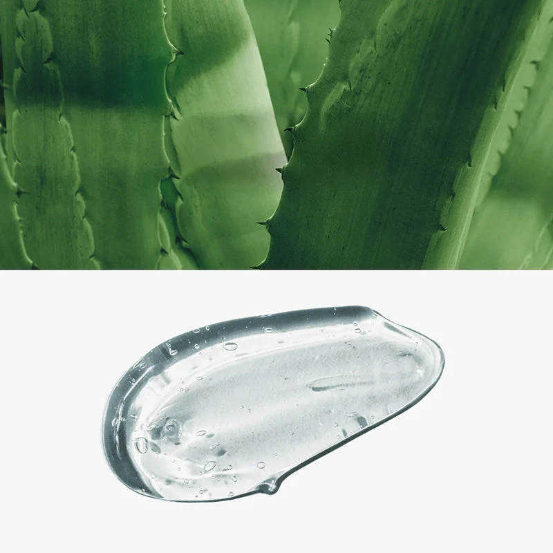 Pure Source Pocket Pack - Image 5