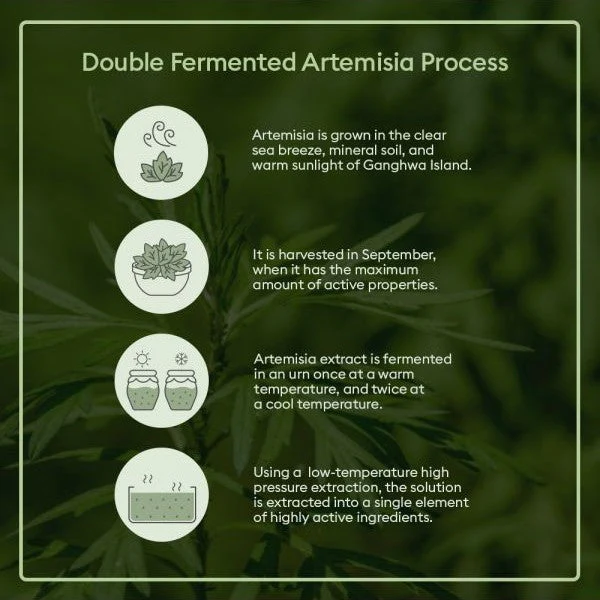 Time Revolution Artemisia Treatment Essence - Image 4