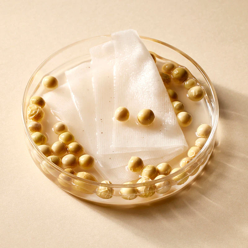 Bean Toner Pad - Image 3