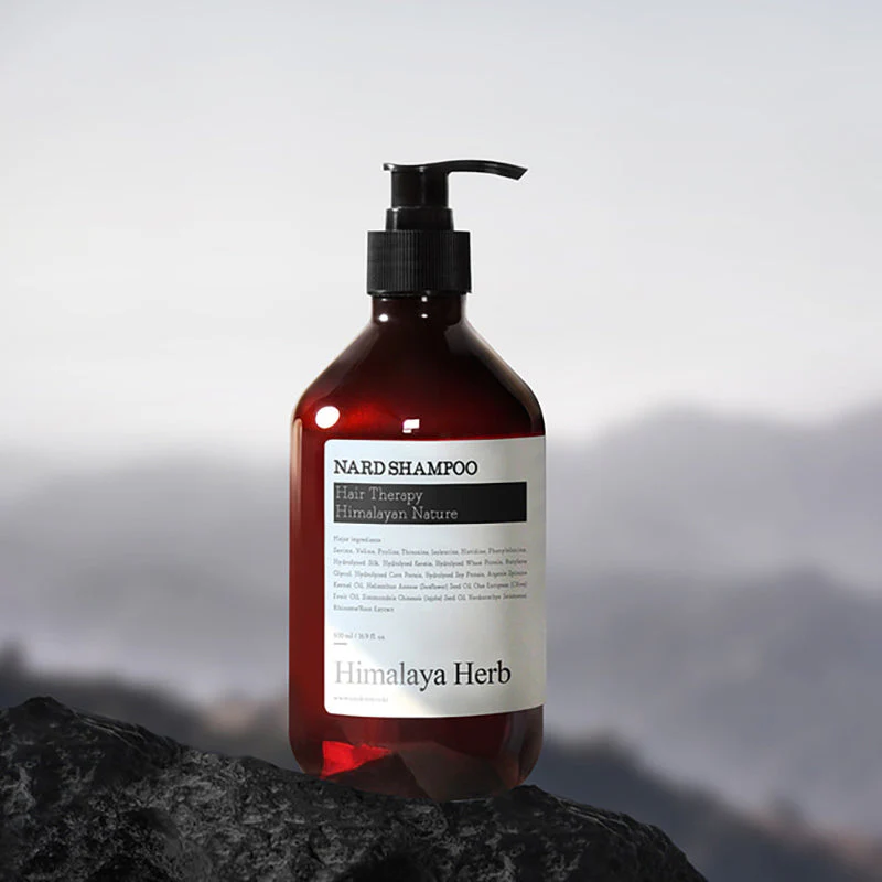 Shampoo Signature - Image 7